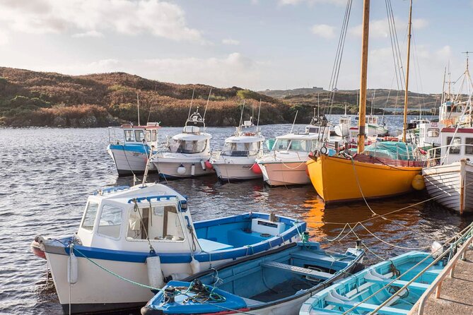 Electric Bike Donegal: Must-Do Half-Day Adventure! - Bunbeg Harbour Gives You a Clear Starting Point
