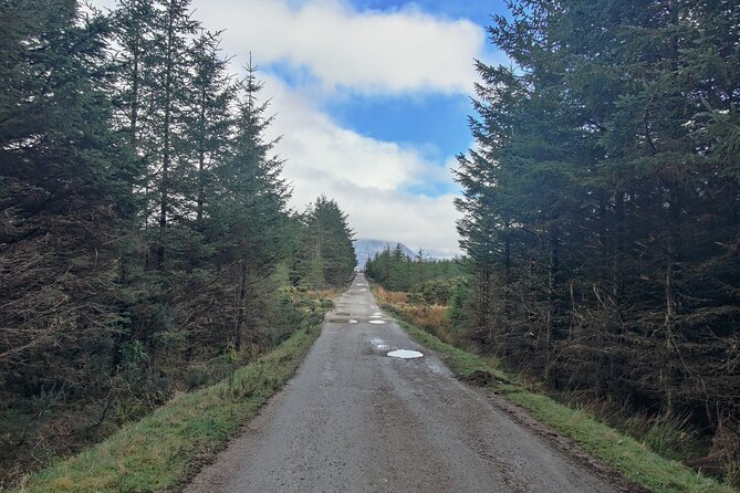Electric Bike Donegal: Must-Do Half-Day Adventure! - Famine Cottages Bring a Sobering Pause