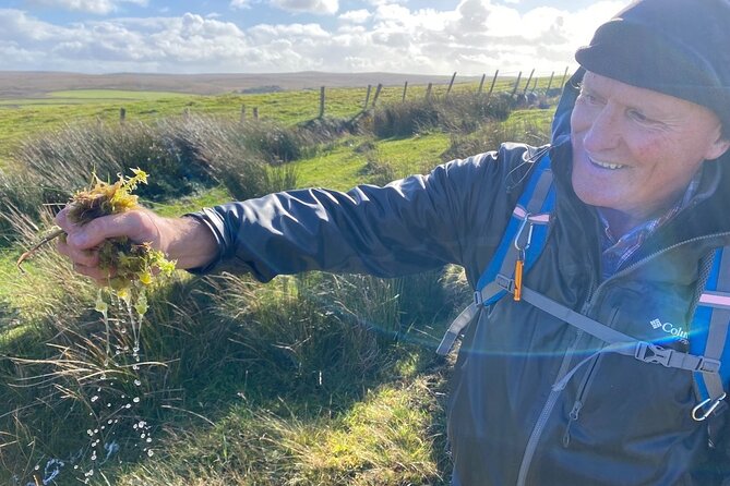 Erris Head Guided Walking Tour (AlchemyTours.ie) - Who will enjoy this walk most?