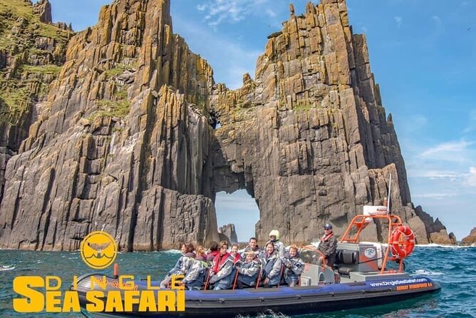 Exhilarating Rib experience - Dingle sea safari - Wildlife sightings around Dingle Bay and the Blaskets