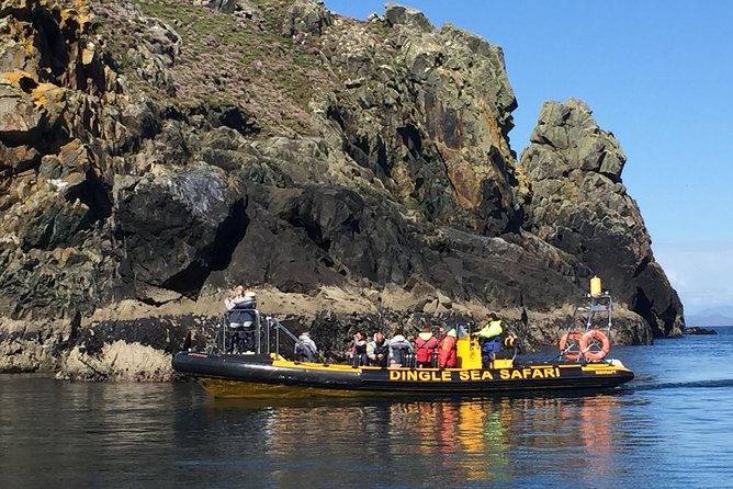 Exhilarating Rib experience - Dingle sea safari - Sea caves, beaches, and the Blasket Islands