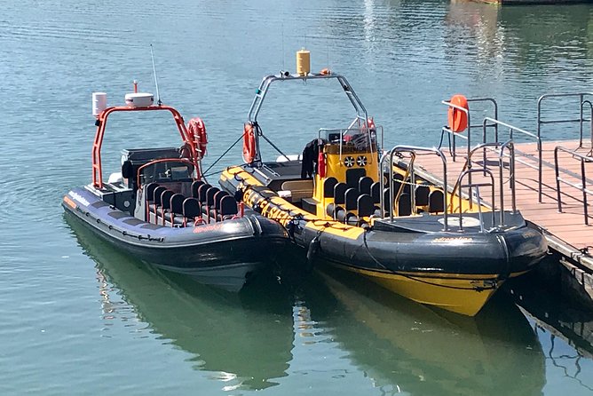 Exhilarating Rib experience - Dingle sea safari - Is the $120.93 price good value?