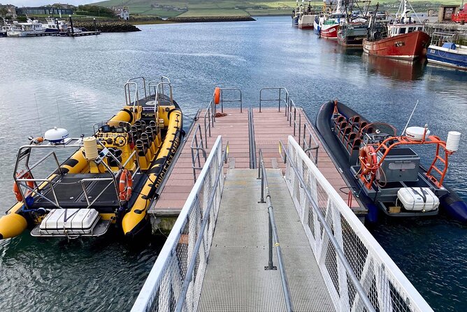 Exhilarating Rib experience - Dingle sea safari - Who will enjoy this most?