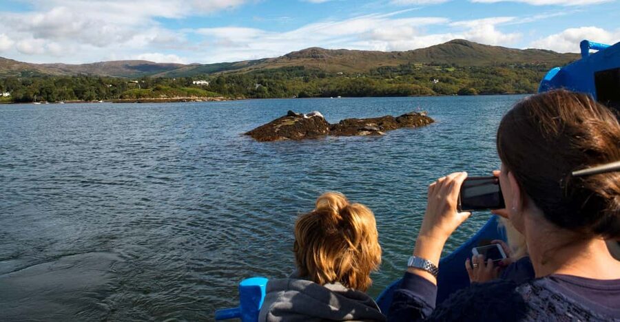 Fastnet Rock Lighthouse direct boat tour-Baltimore.Guided. - The Cape Clear Island stop