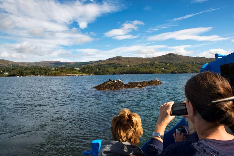 Fastnet Rock Lighthouse direct boat tour-Baltimore.Guided. - Who will enjoy this boat trip most?