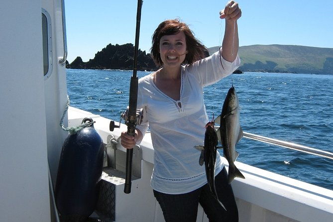 Fishing 2 hour Private - What you might catch in Dingle Bay