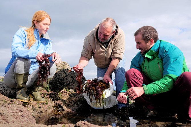 Food, heritage & cultural tour Inishmore, Aran Islands. Guided. - Dún Aonghasa above the Atlantic