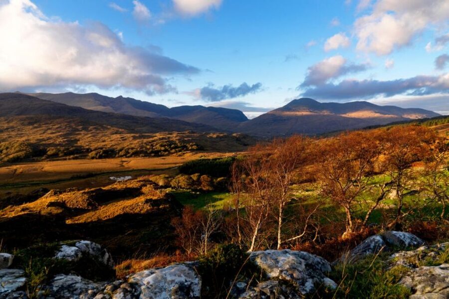 From Cork: 9-Hour Guided Ring of Kerry and Killarney Tour - Looking for the Skellig Islands