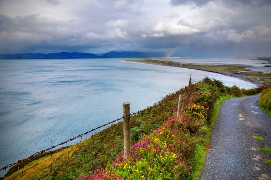 From Cork: 9-Hour Guided Ring of Kerry and Killarney Tour - Moll’s Gap, Ladies View, and the Black Valley