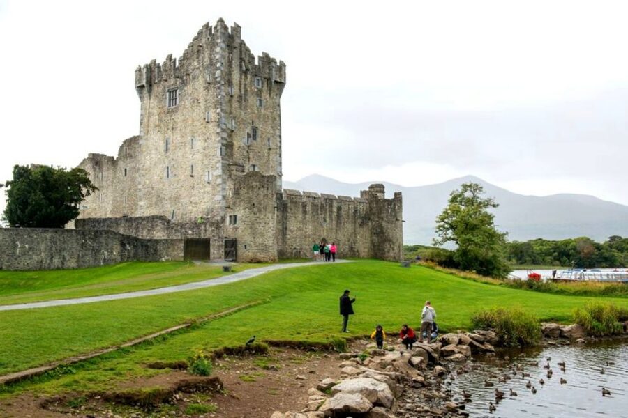 From Cork: 9-Hour Guided Ring of Kerry and Killarney Tour - Lough Leane and native oak woodland