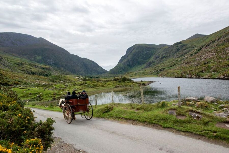From Cork: 9-Hour Guided Ring of Kerry and Killarney Tour - Killarney, Ireland’s famous town