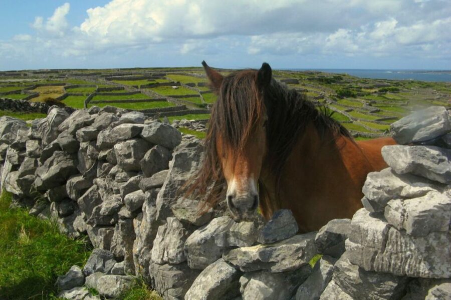 From Cork: 9-Hour Guided Ring of Kerry and Killarney Tour - Kerry Bog Village at Glenbeigh