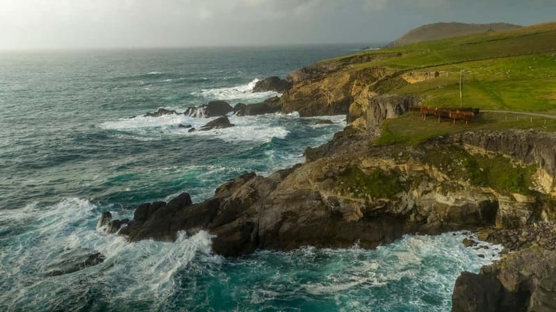 From Cork: Ring of Kerry & Killarney Guided Full Day Tour - Kerry Bog Village and a step into rural Ireland