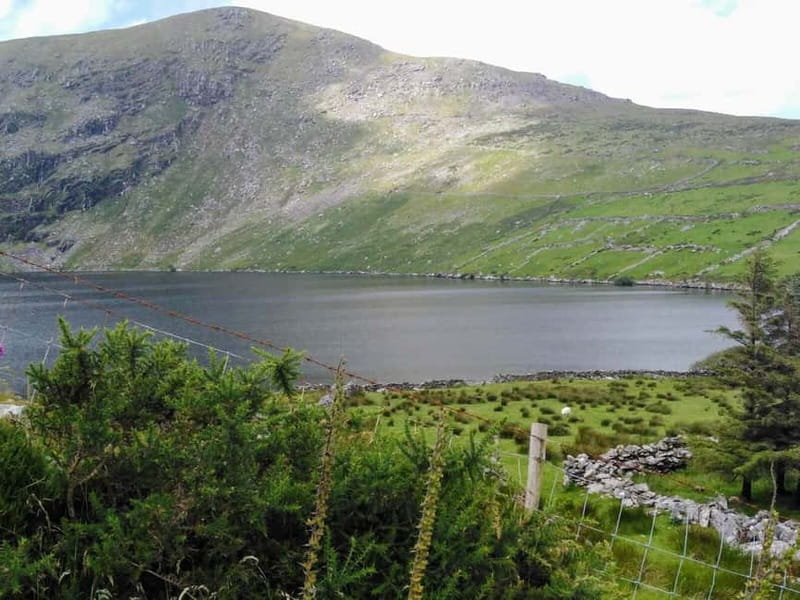 From Cork: Ring of Kerry & Killarney Guided Full Day Tour - The guide can make or break a long coach day
