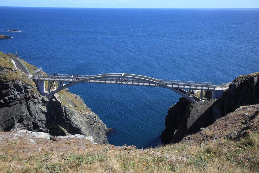 From Cork: West Cork to Mizen Head Guided Full Day Tour - Timing, food, and what to bring