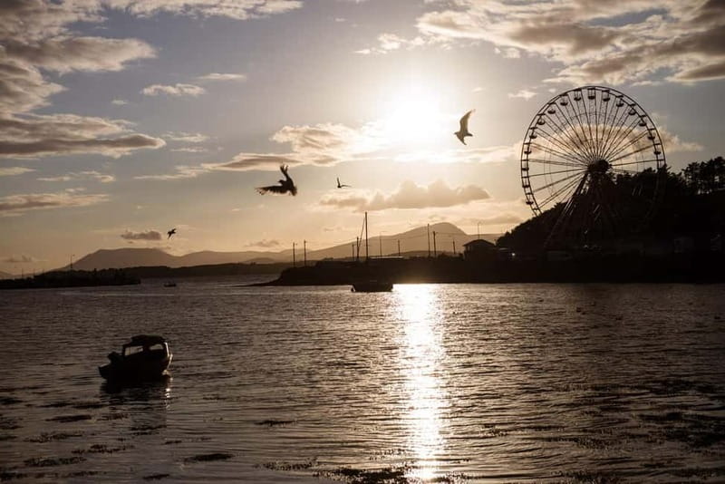 From Cork: West Cork to Mizen Head Guided Full Day Tour - The value of a guided day from Cork