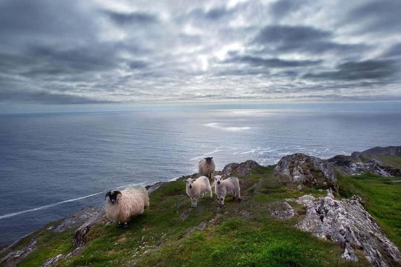 From Cork: West Cork to Mizen Head Guided Full Day Tour - Gougane Barra and St. Finbarr’s Oratory