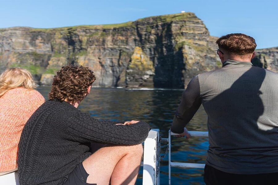 From Doolin: Cliffs of Moher Boat Tour - An Branán Mór and the seabirds