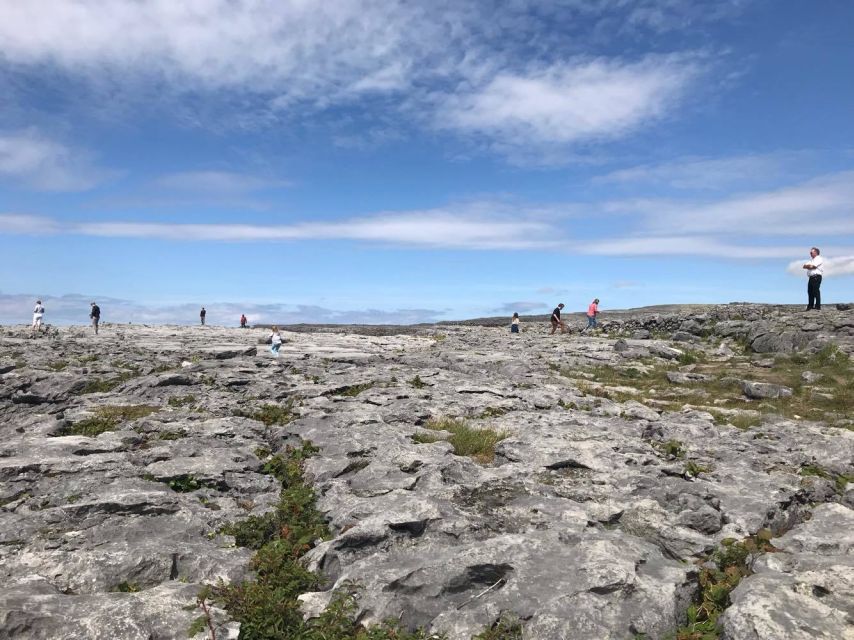 From Dublin: 4-Day Southern and Western Coast Tour - Day three: the Dingle Peninsula and Ryan’s Daughter country