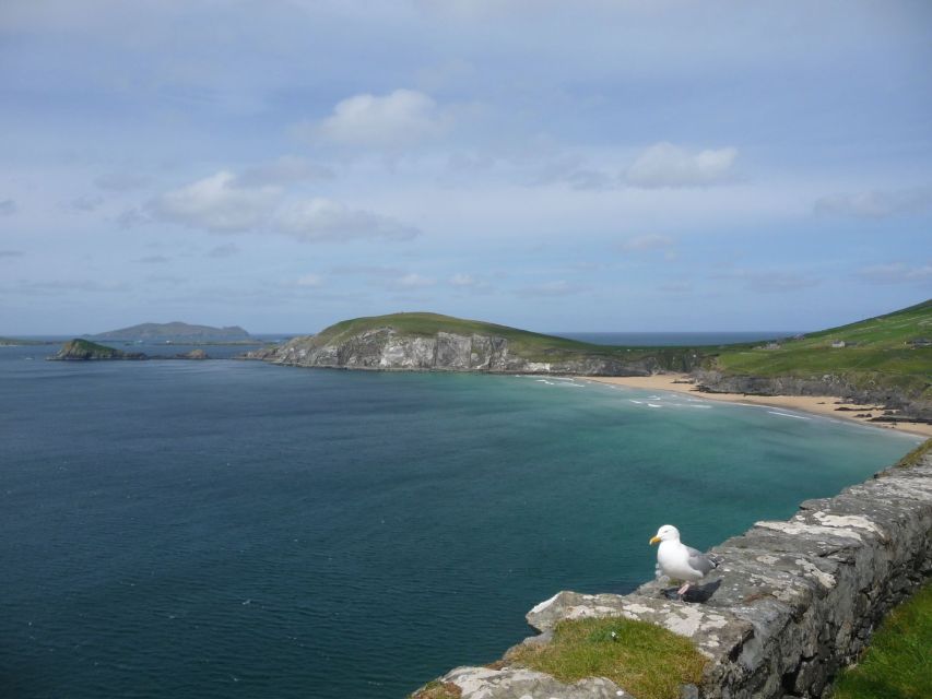 From Dublin: 5-Day Tour to the Southwest with Accommodation - The Burren: stone, silence, and a lunar feel