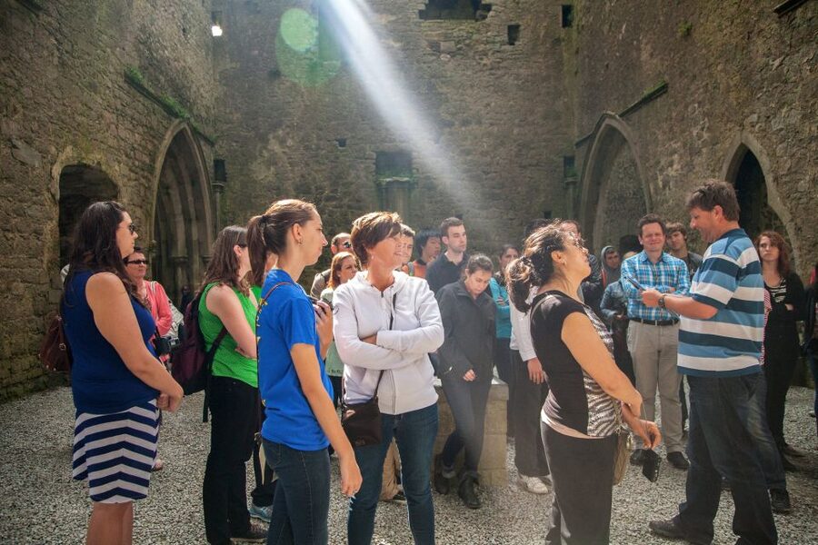 From Dublin: Blarney, Rock of Cashel and Cahir Castles Tour - Lunch at Blarney without an included meal