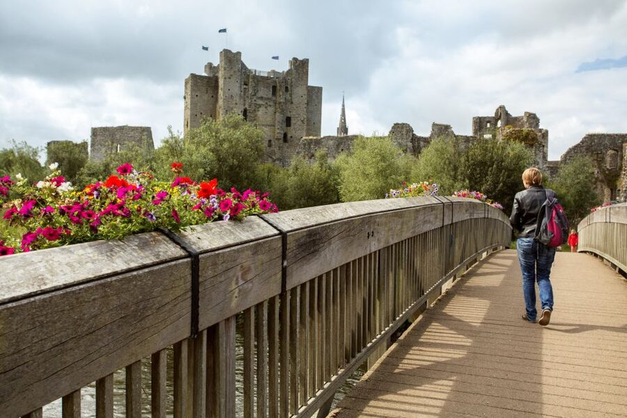 From Dublin: Celtic Boyne Valley and Ancient Sites Tour - The guide can make or break this long day