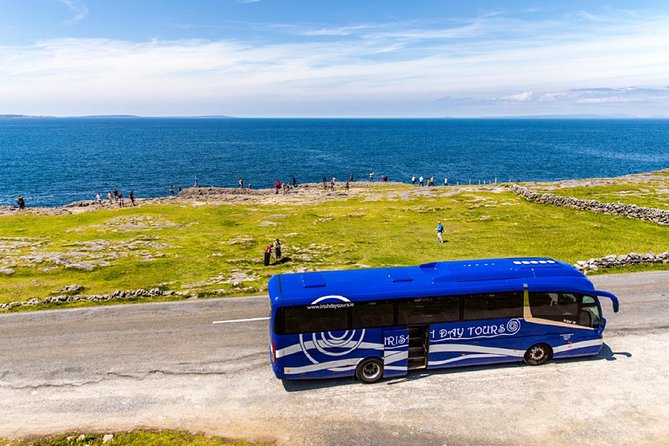 From Dublin: Cliffs of Moher, Bird of Prey & Aillwee Cave - Going 850 metres underground at Aillwee Cave