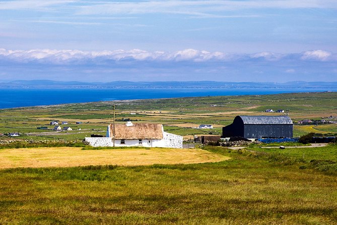 From Dublin: Cliffs of Moher, Bird of Prey & Aillwee Cave - Lunch at O’Donohue’s Pub in Fanore