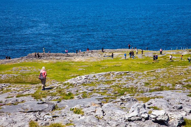 From Dublin: Cliffs of Moher, Bird of Prey & Aillwee Cave - Seeing the Cliffs of Moher from the top