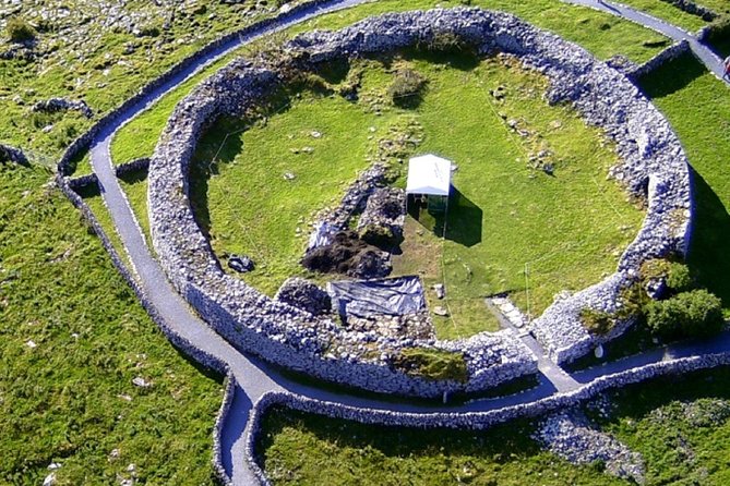 From Dublin: Cliffs of Moher, Bird of Prey & Aillwee Cave - What the coach ride is really like
