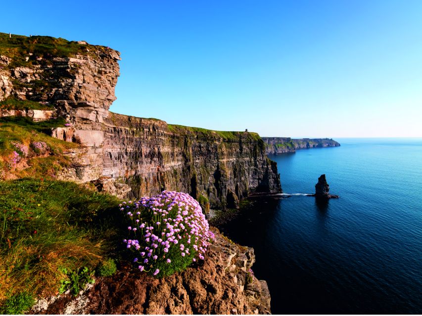 From Dublin: Cliffs of Moher Small Group Tour - What the $146 price really buys