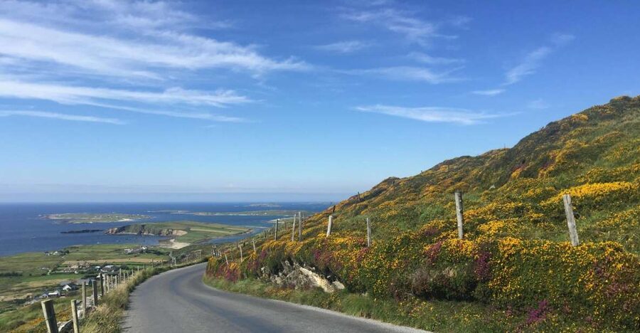 From Dublin: Connemara and Galway Bay Day Tour - Key points before you book