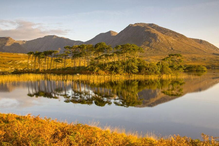 From Dublin: Connemara and Galway Full-Day Tour - Who should book this Connemara tour