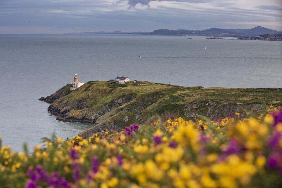 From Dublin: Half-Day Guided Coastal Tour to Howth Village - Key things to know before visiting Howth