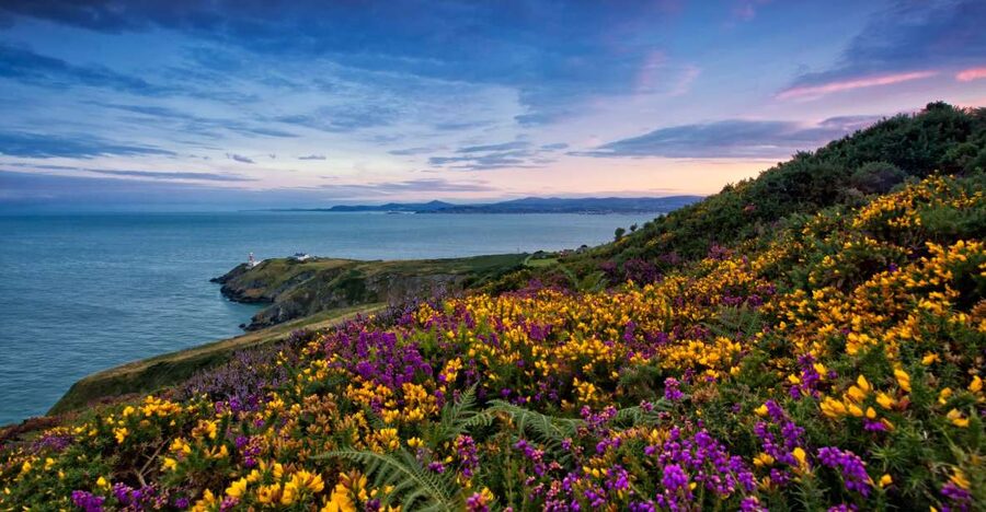 From Dublin: Half-Day Guided Coastal Tour to Howth Village - Why Howth is worth half a day from Dublin