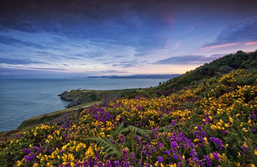 From Dublin: Half-Day Guided Coastal Tour to Howth Village - The bus ride to Howth, about one hour