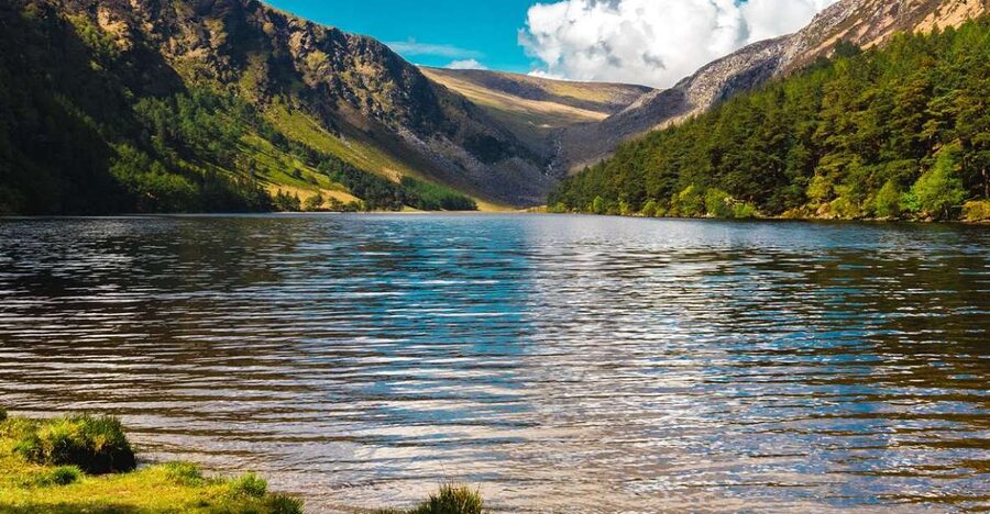 From Dublin: Half-Day Trip to Glendalough and Wicklow - Wildlife, waterfalls, and film locations