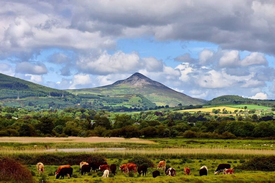 From Dublin: Wicklow Mountains, Glendalough & Kilkenny Tour - Who should book this Dublin day trip?
