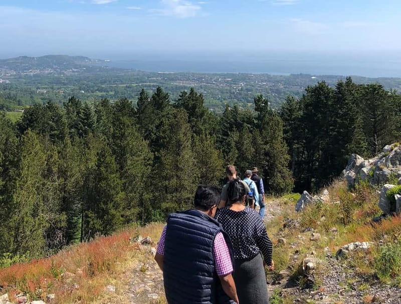 From Dublin: Wicklow, Powerscourt, and Glendalough Day Tour - Practical details before you reserve