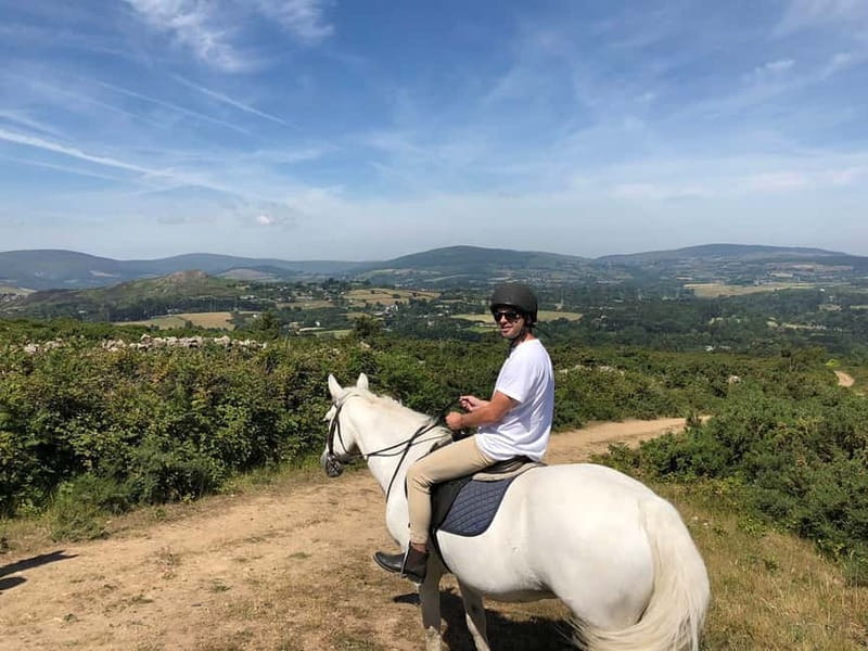 From Dublin: Wicklow, Powerscourt, and Glendalough Day Tour - Enniskerry gives you time for lunch