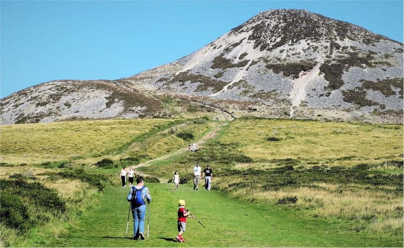 From Dublin: Wicklow, Powerscourt, and Glendalough Day Tour - The guide is the tours biggest variable