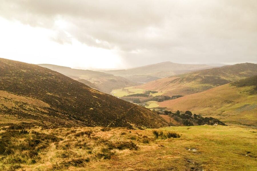 From Dublin: Wild Wicklow Mountains and Glendalough Tour - Lunch at Lynhams of Laragh keeps the day grounded