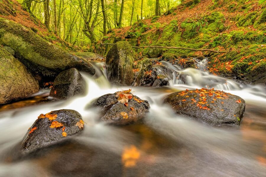 From Dublin: Wild Wicklow Mountains and Glendalough Tour - Glendalough combines ruins, lakes, and quiet paths