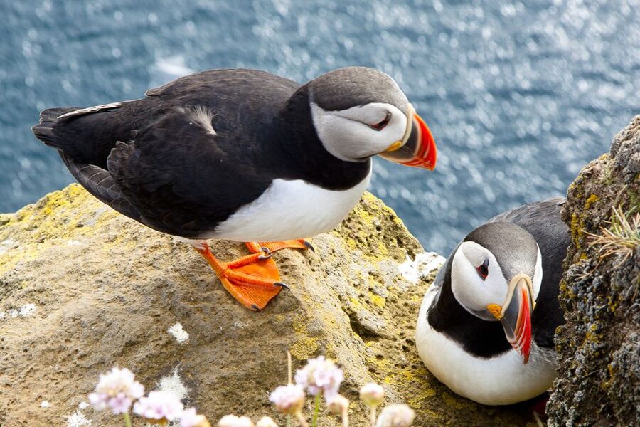 From Galway: Cliffs of Moher Half-Day Express Trip - What to see inside the visitor center