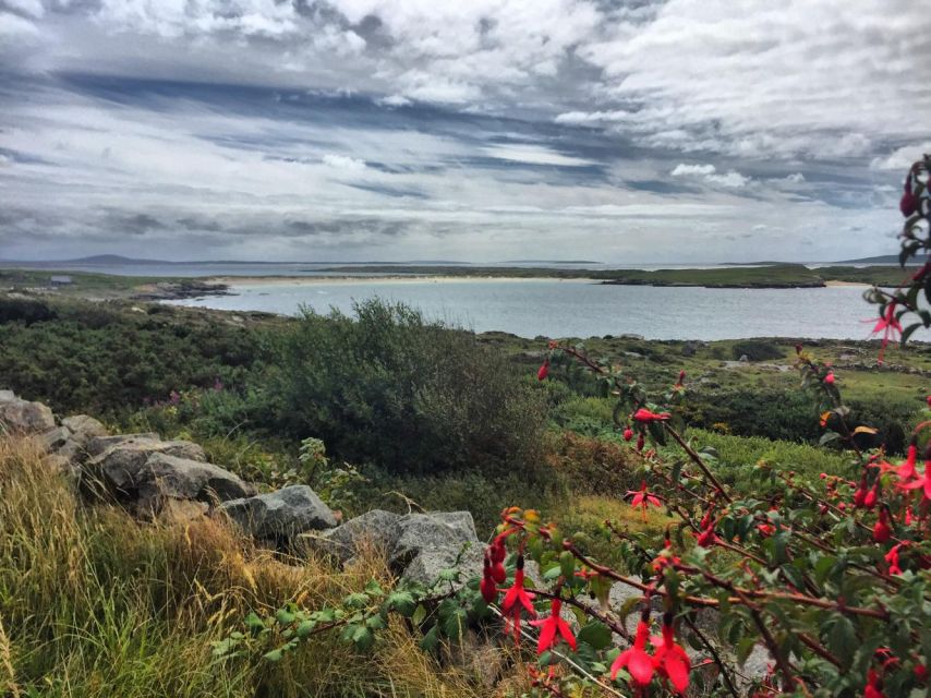 From Galway: Connemara and Kylemore Abbey Day Tour - Why this Galway day trip works