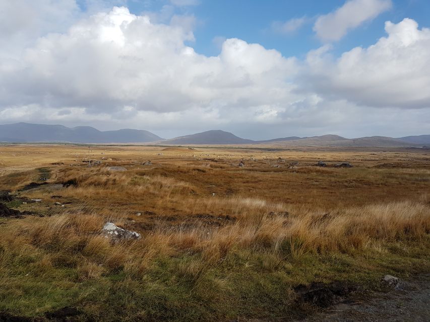 From Galway: Connemara and Kylemore Abbey Day Tour - Choosing between Diamond Hill and Kylemore Abbey