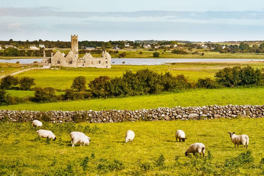From Galway: Connemara & Kylemore Abbey Full-Day Guided Tour - Two hours at Kylemore Abbey and Gardens