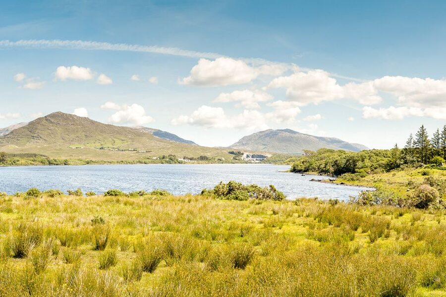 From Galway: Connemara & Kylemore Abbey Full-Day Guided Tour - The guide can make or break the day