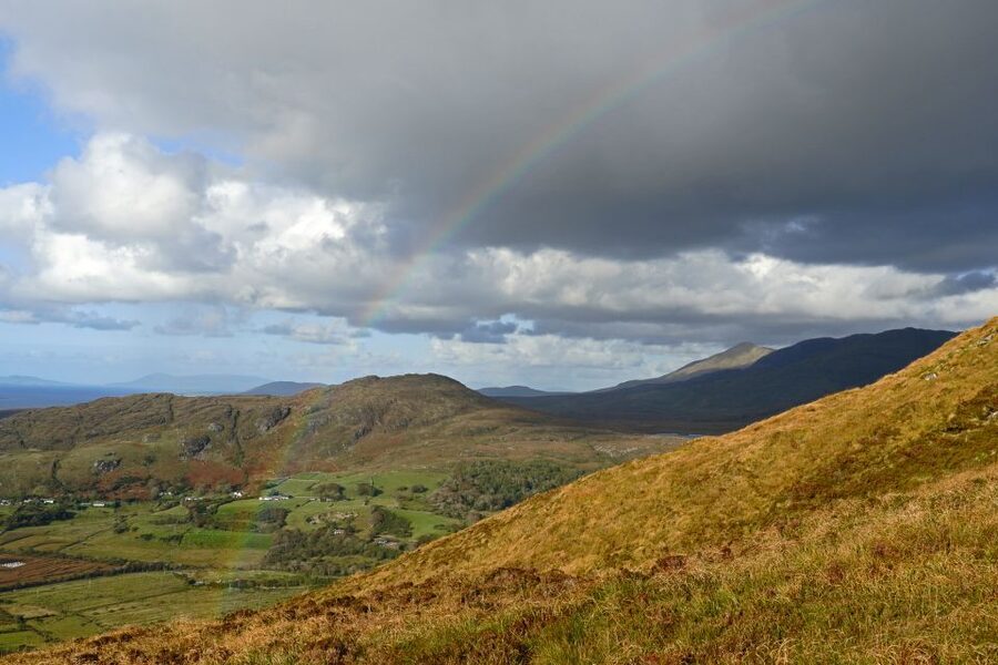 From Galway: Connemara National Park Full Day Tour - What the guides add to the day