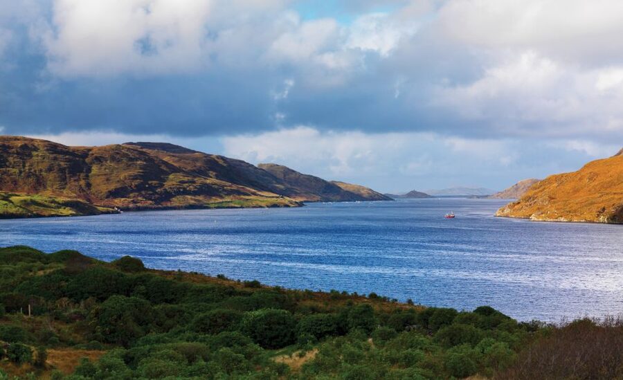 From Galway: Connemara National Park Full Day Tour - Who should book this Connemara outing?